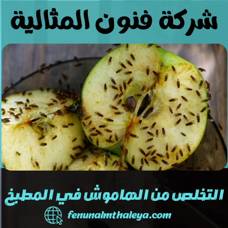 التخلص من الهاموش في المطبخ