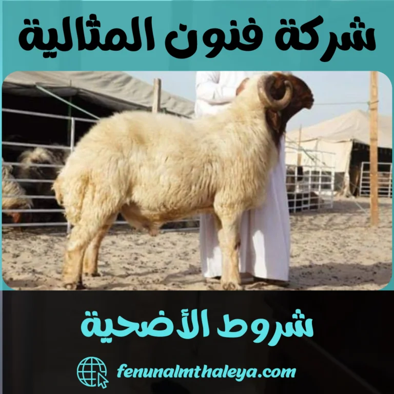 شروط الأضحية