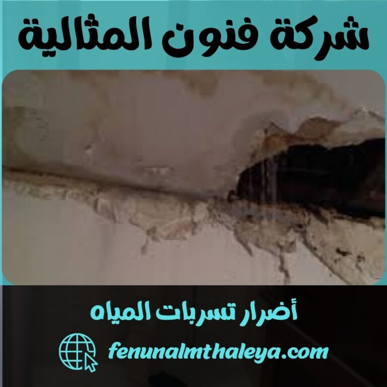 أضرار تسربات المياه
